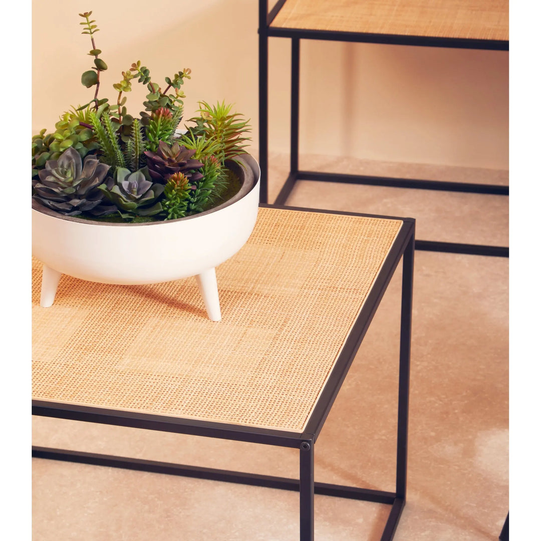 Derok Rattan And Metal Coffee Table Studio 55