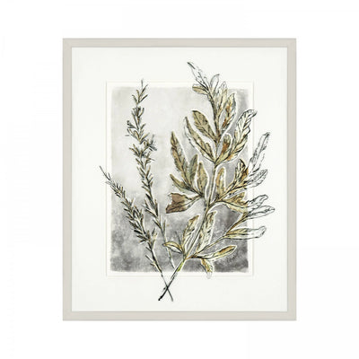 Holly Fern Framed Art Gallery Direct