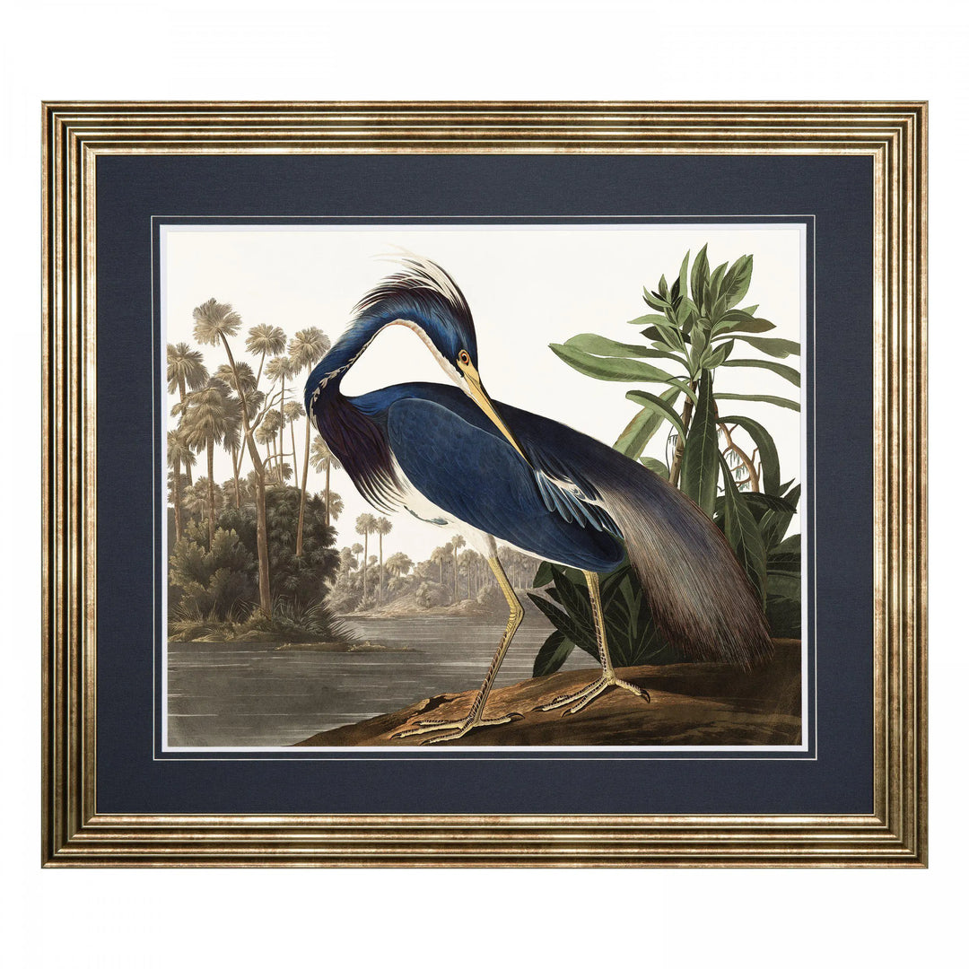 Louisiana Heron Framed Art 880x10x760mm Gallery Direct