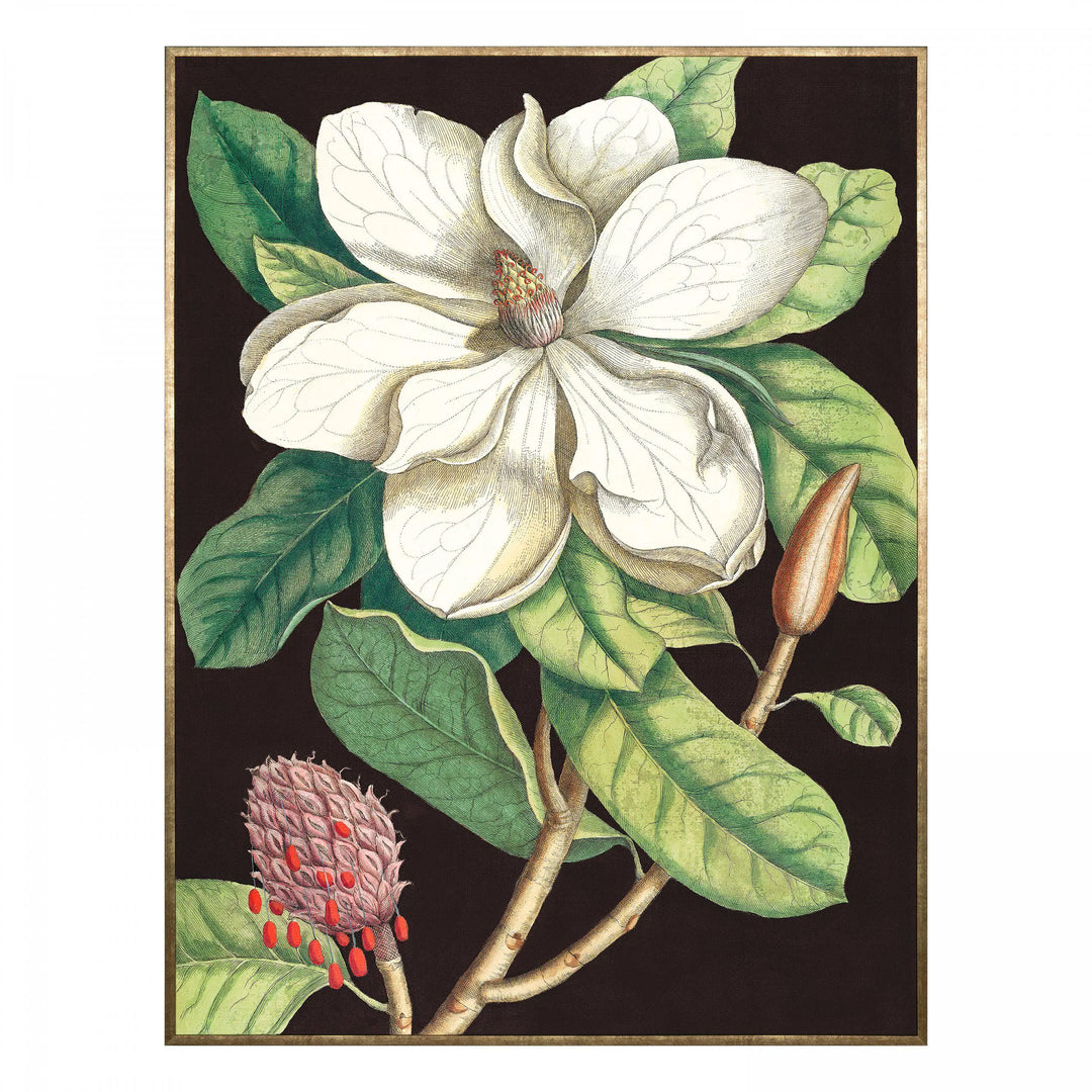 Laurel Tree Framed Canvas 900x30x1200mm Gallery Direct