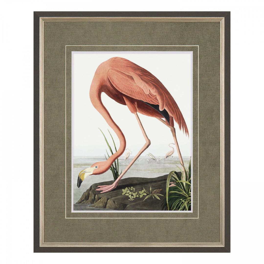 Vintage Flamingo Small Framed Art 540x30x440mm Gallery Direct