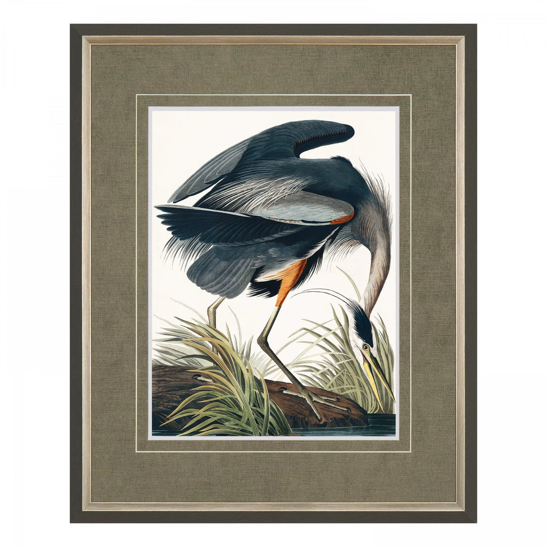 Vintage Blue Heron Small Framed Art 440x30x540mm Gallery Direct