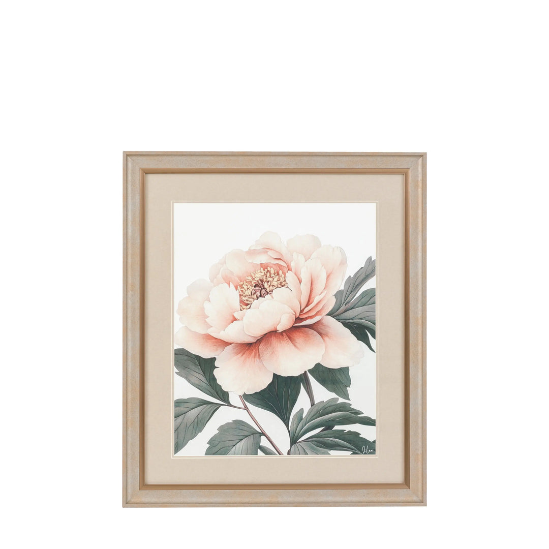 Peony Relection Framed Art 510x55x410mm Gallery Direct