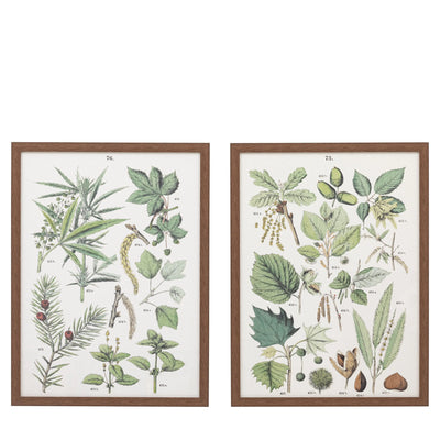 Foliage Study Framed Art Set of 2 Gallery Direct