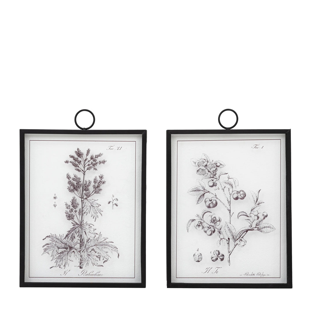 Petiole Art Set of 2 Gallery Direct