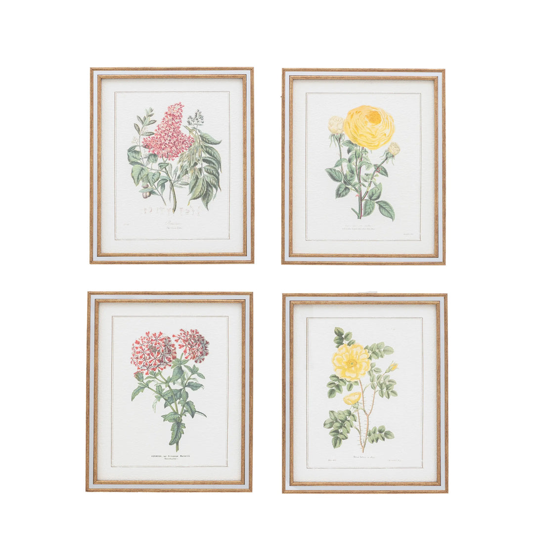 Floral Quartet Framed Art Set of 4 Gallery Direct
