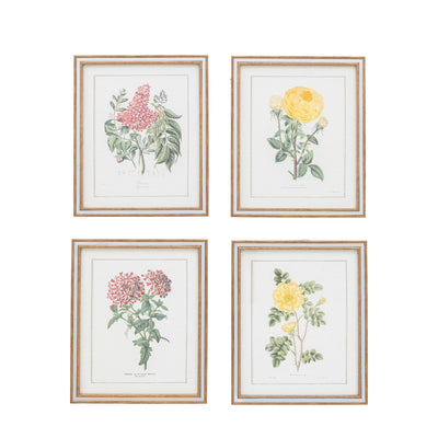 Floral Quartet Framed Art Set of 4 Gallery Direct