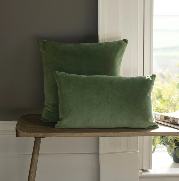 Christy Jaipur Cushion Olive 30x50cm Christy