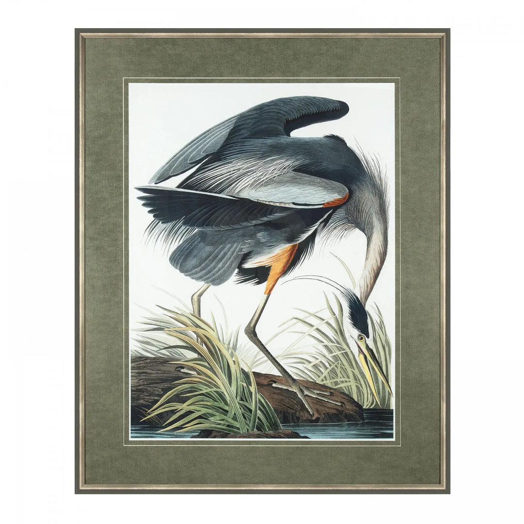 Vintage Blue Heron Framed Art Gallery Direct