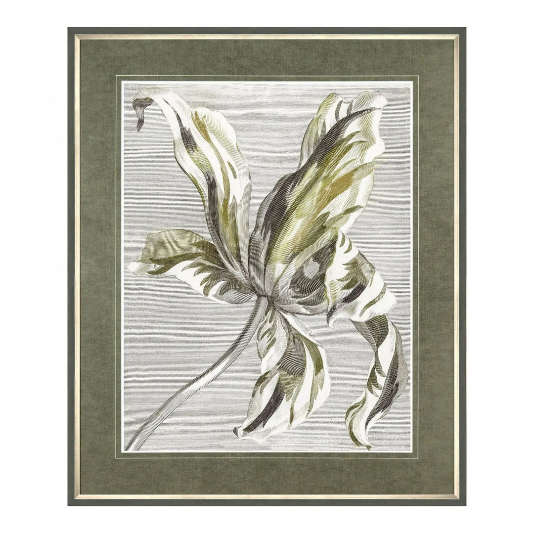 Tulip Bloom Framed Art Gallery Direct