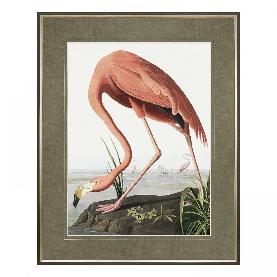 Vintage Flamingo Framed Art Gallery Direct