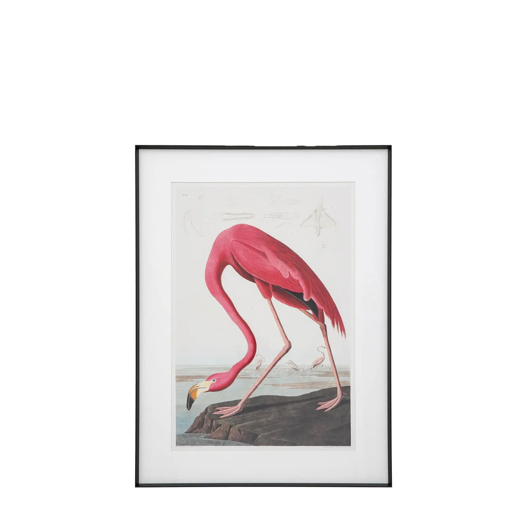 Wading Flamingo Framed Art Gallery Direct